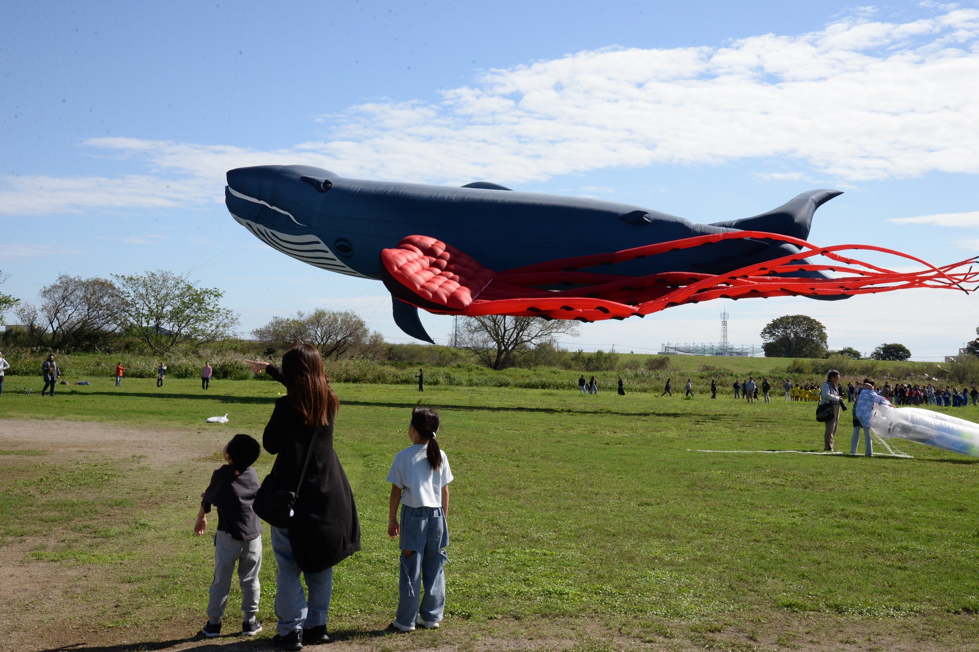 ビッグカイト飛揚の様子
