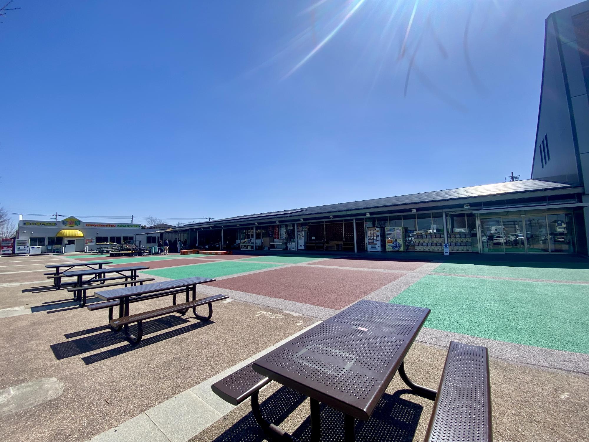 本館前に広がる広場と休憩スペースの写真