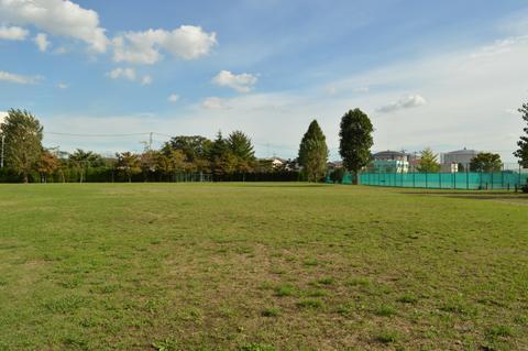 青空の下の大沼公園の原っぱの写真