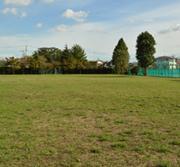 青空の下に短い芝草が広がる大沼公園の写真