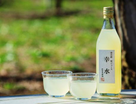 春日部梨ジュース「幸水」の写真