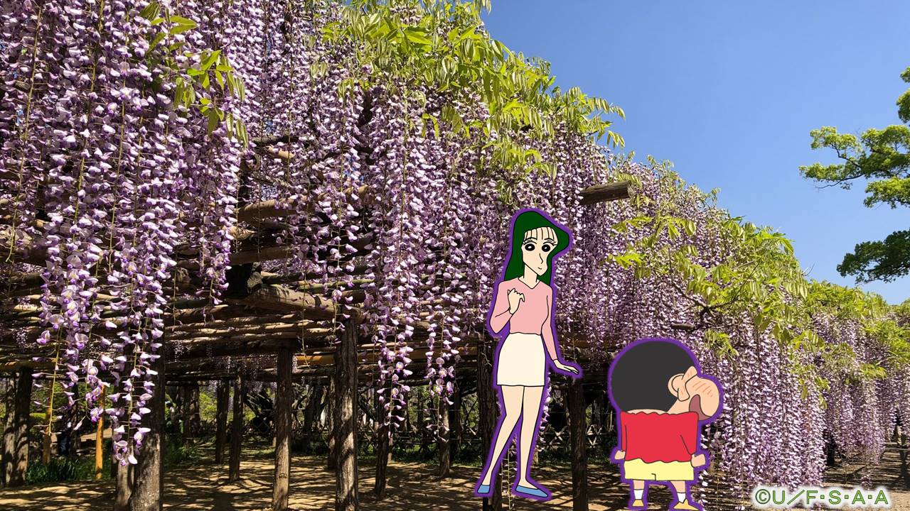 野原しんのすけと大原ななこが藤花園を紹介