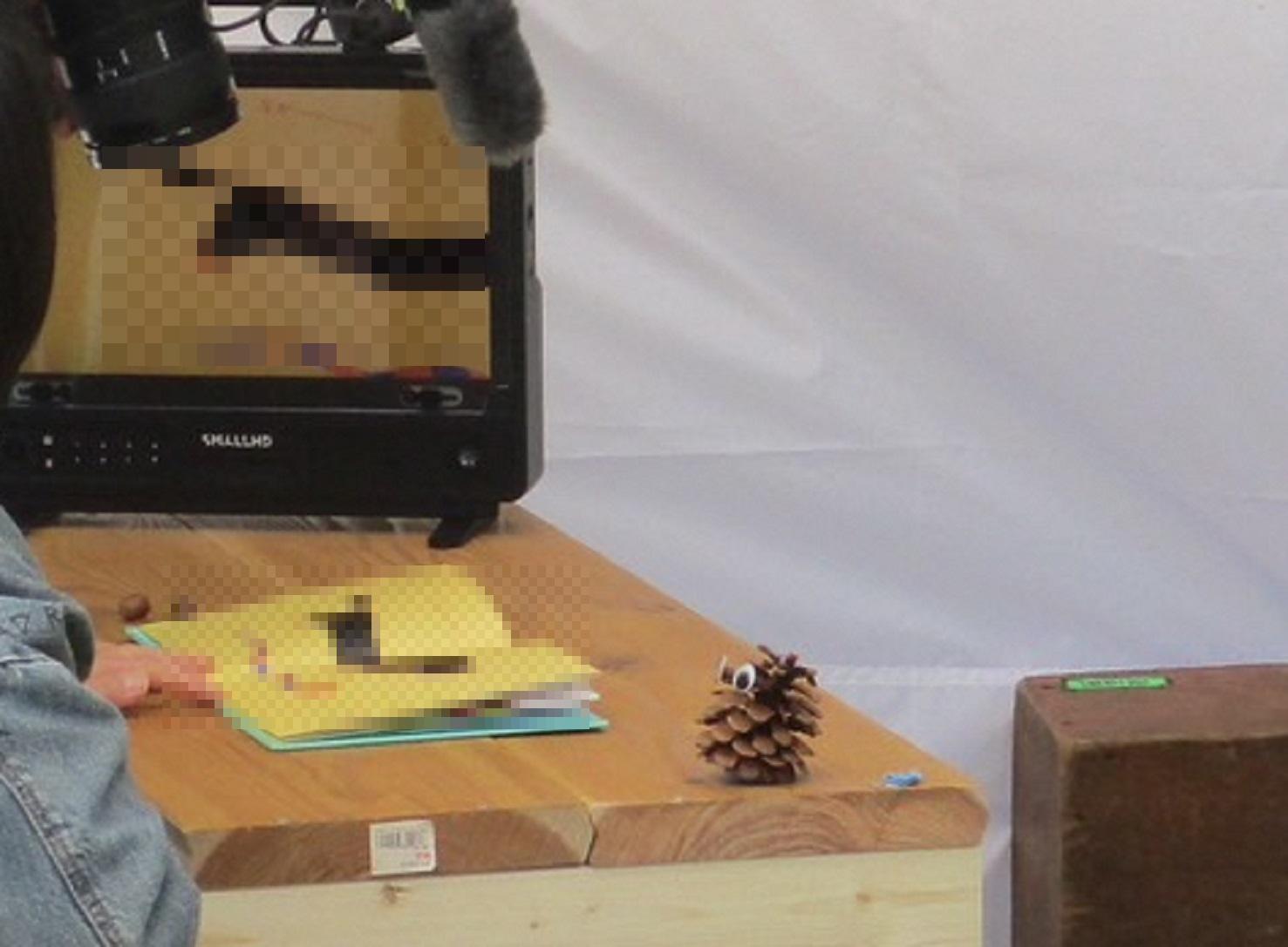 まつぼっくりのキャラクターが座っているところ