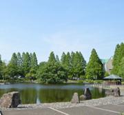 三角形に刈り込まれた背の高い木の並ぶ庄和総合公園の写真