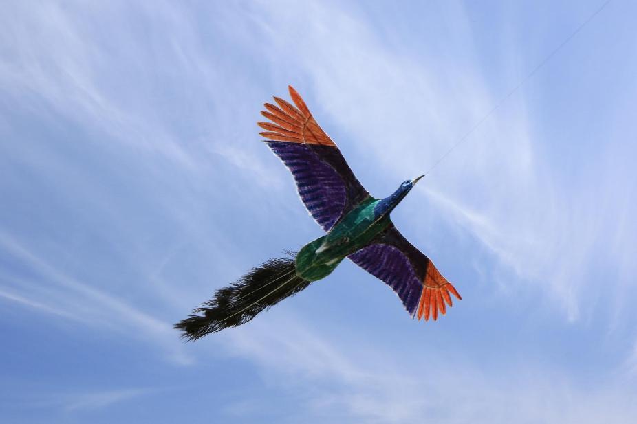 創作凧あげ写真3