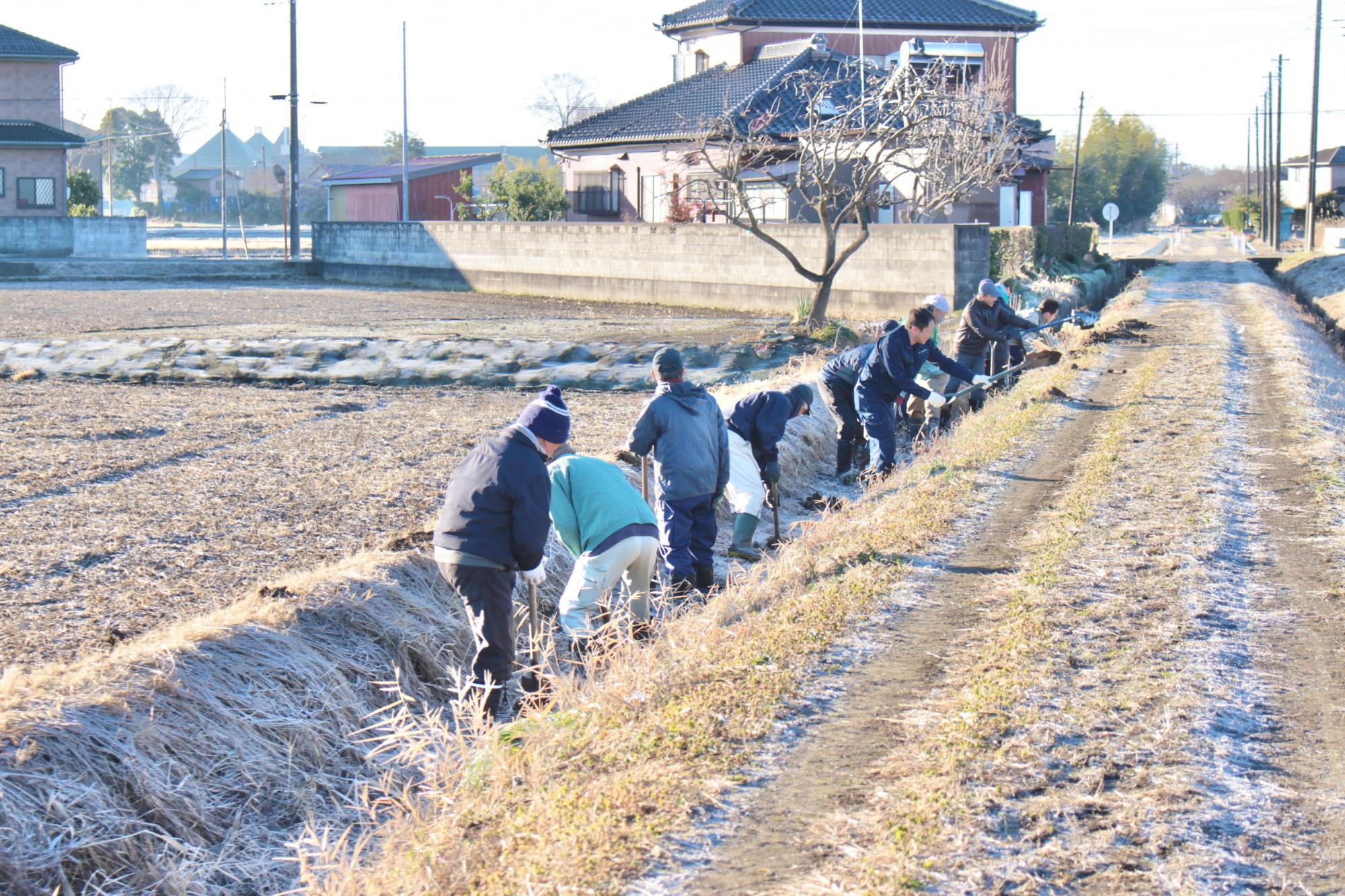 一列に並んでどんどん掘り進めていく様子