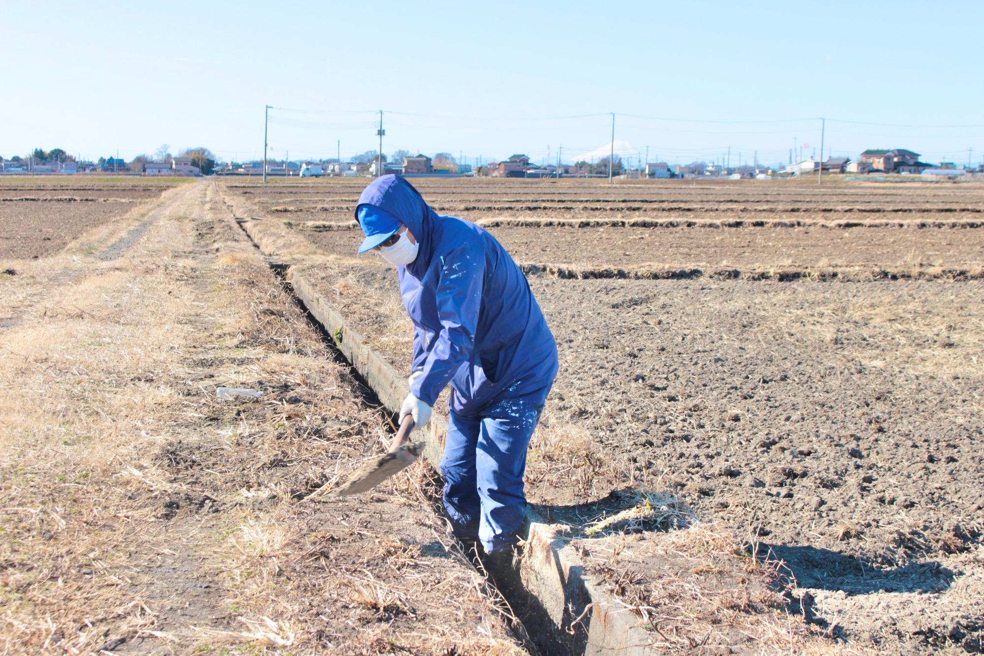 富士山をバックに泥上げ