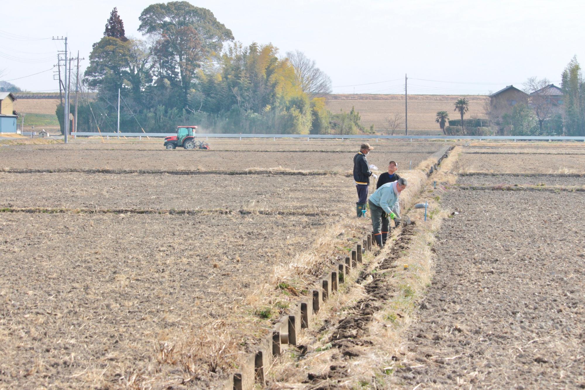 広大な農地に敷かれた水路をきれいにしていく