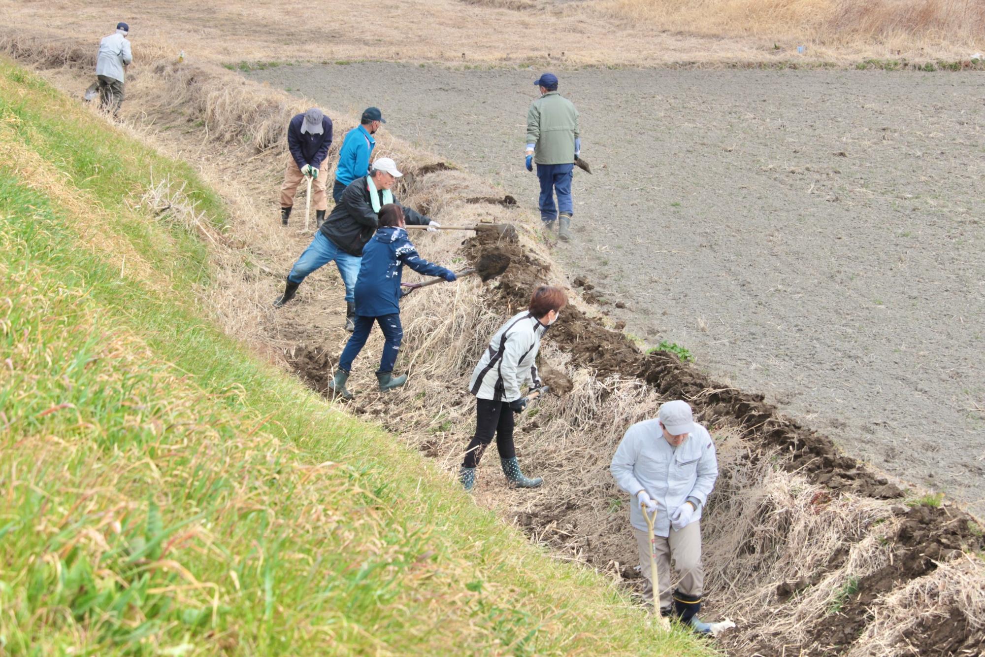 掘った泥を畦に上げる様子