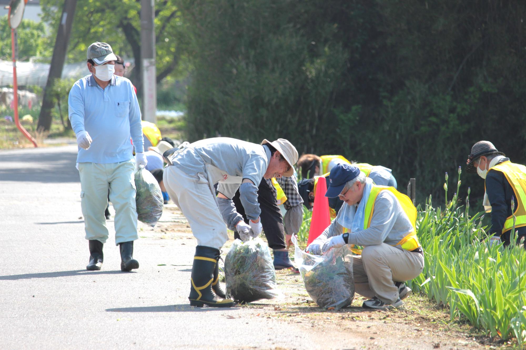 刈った草を袋につめる様子
