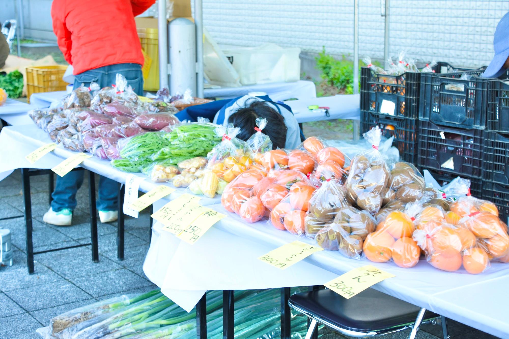 新鮮野菜がずらりと並ぶ