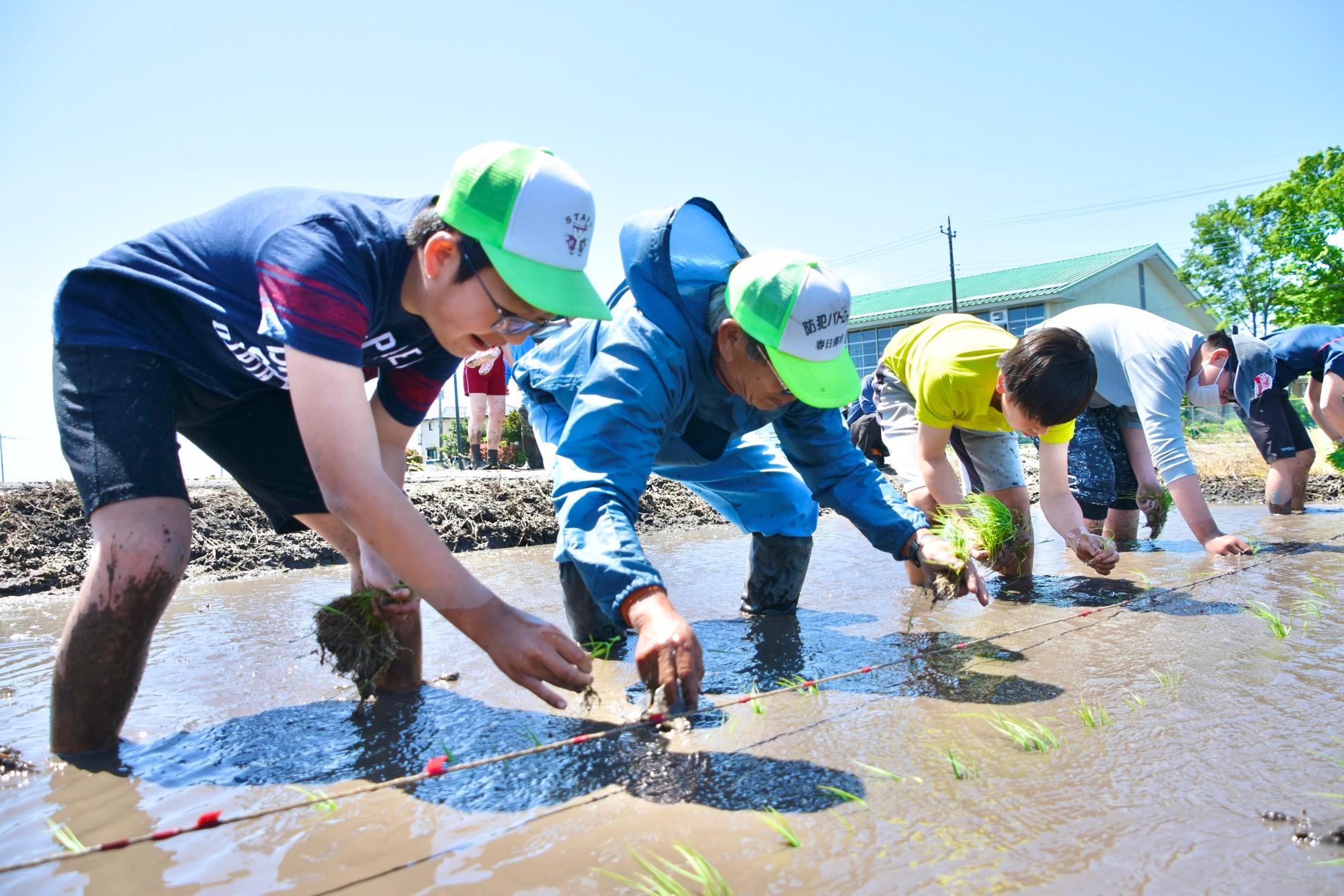 最後は代表も一緒に田植え