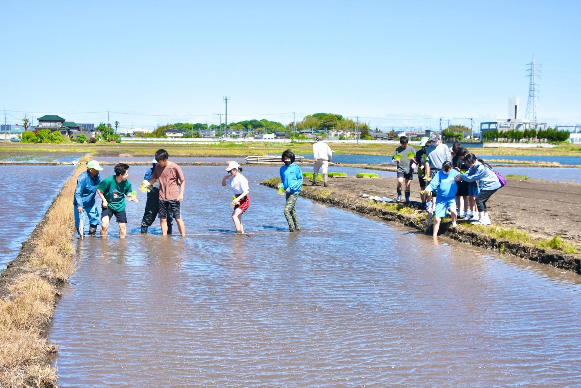 初めて田んぼに入った生徒たちからは驚きの声があがった