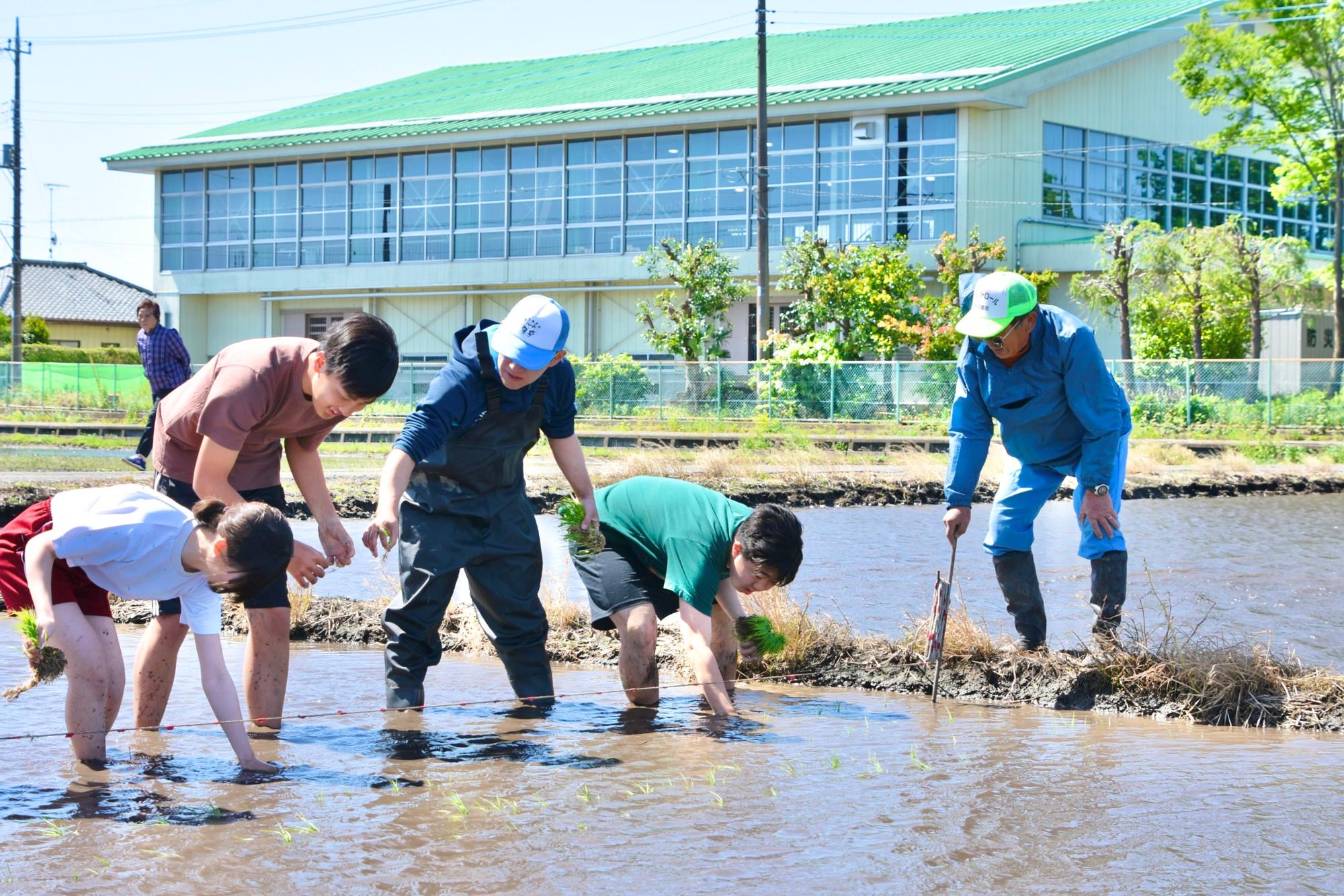 ロープに付いた目印に合わせて苗を植える生徒たち