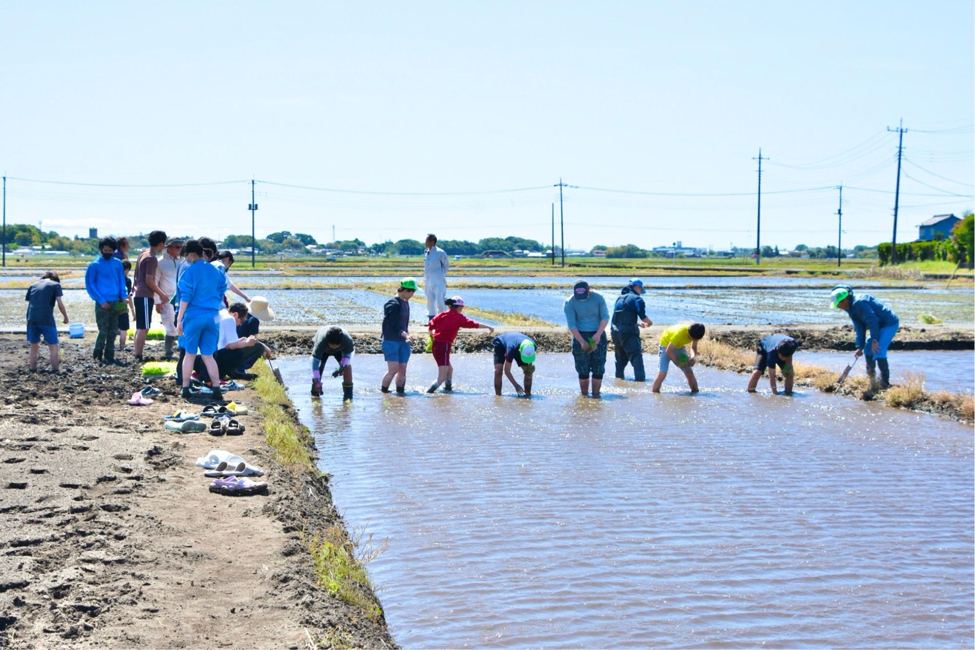 田園風景が広がる中での田植え体験
