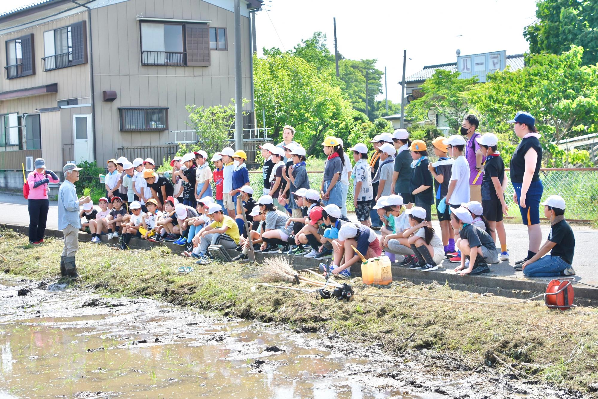 田植えのやり方について説明を受ける生徒たち