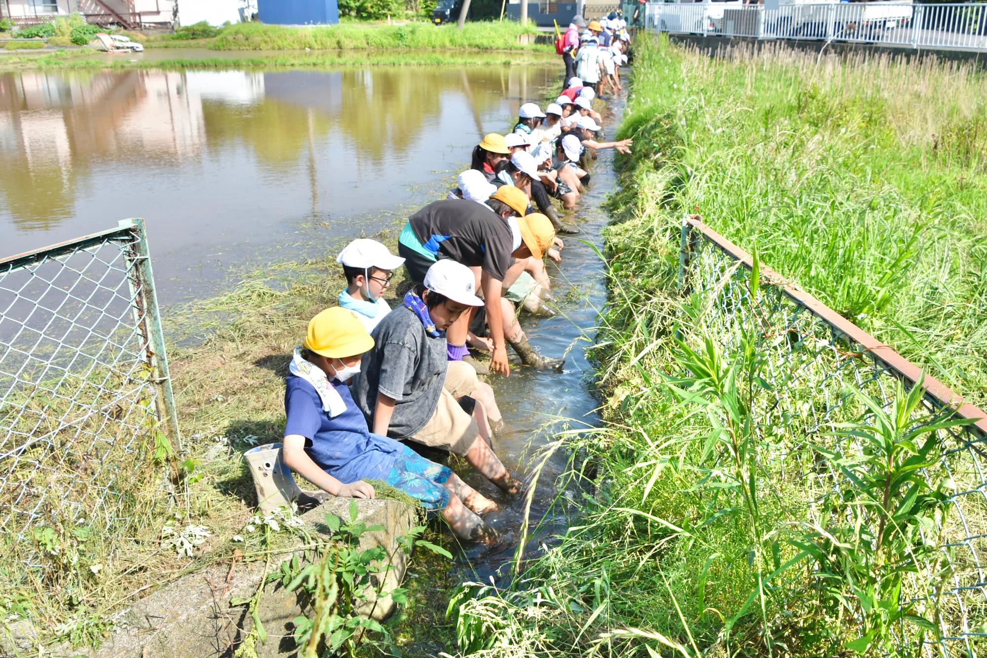 田植えの後は水路で泥を落とす