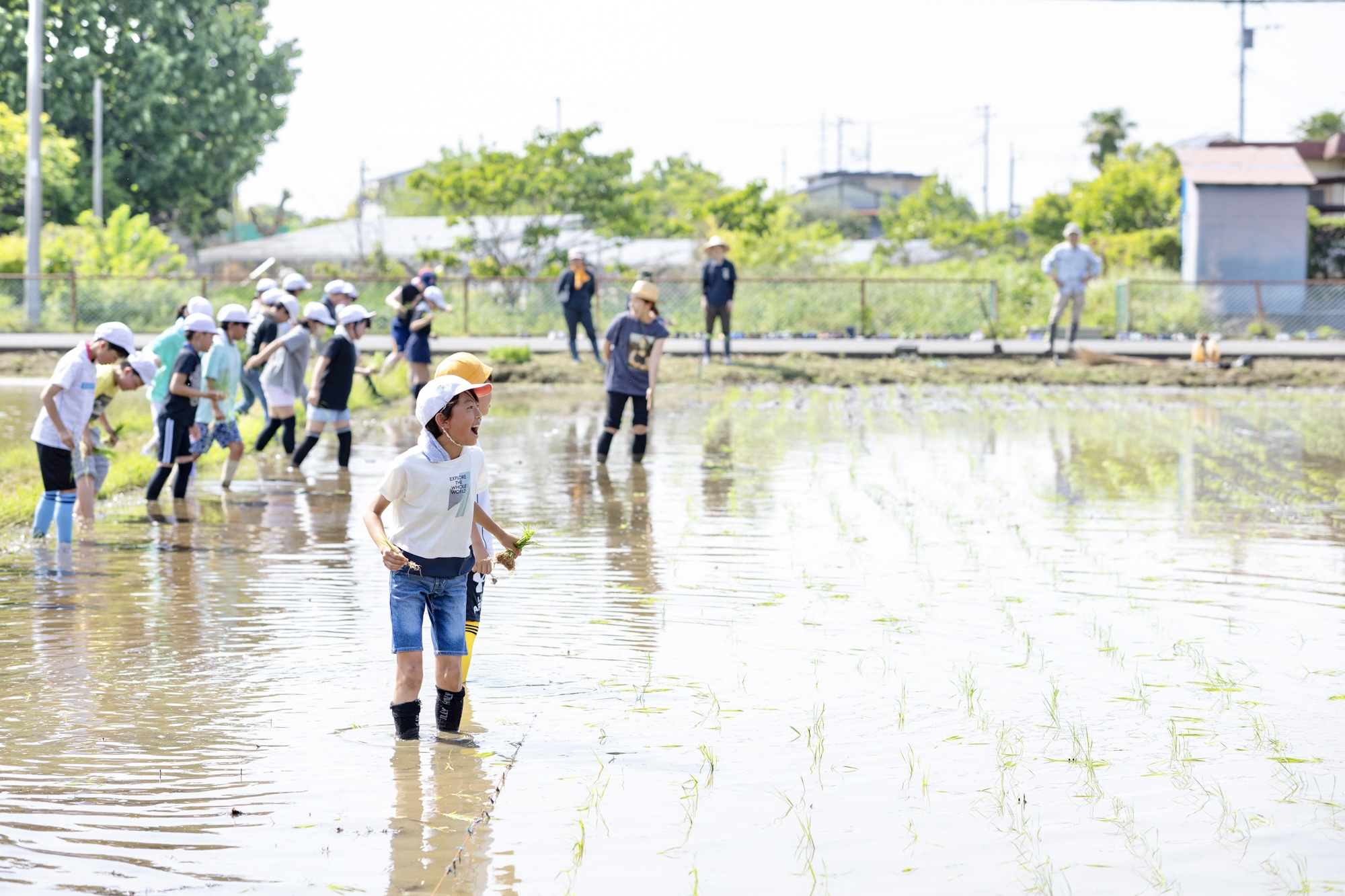 初めて田んぼに入る子どもたち