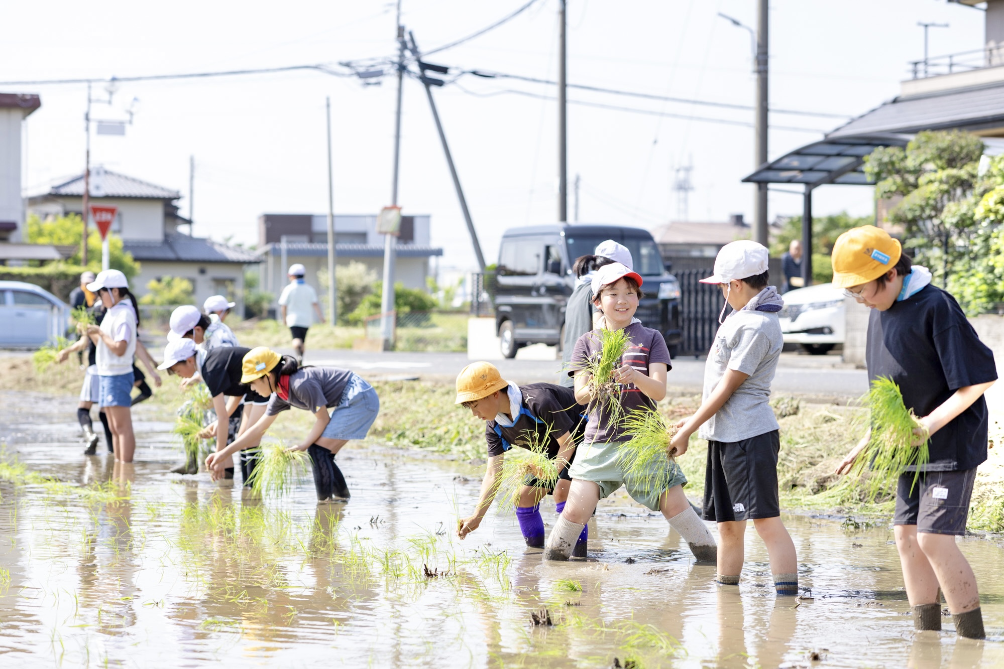 赤米の田植え体験