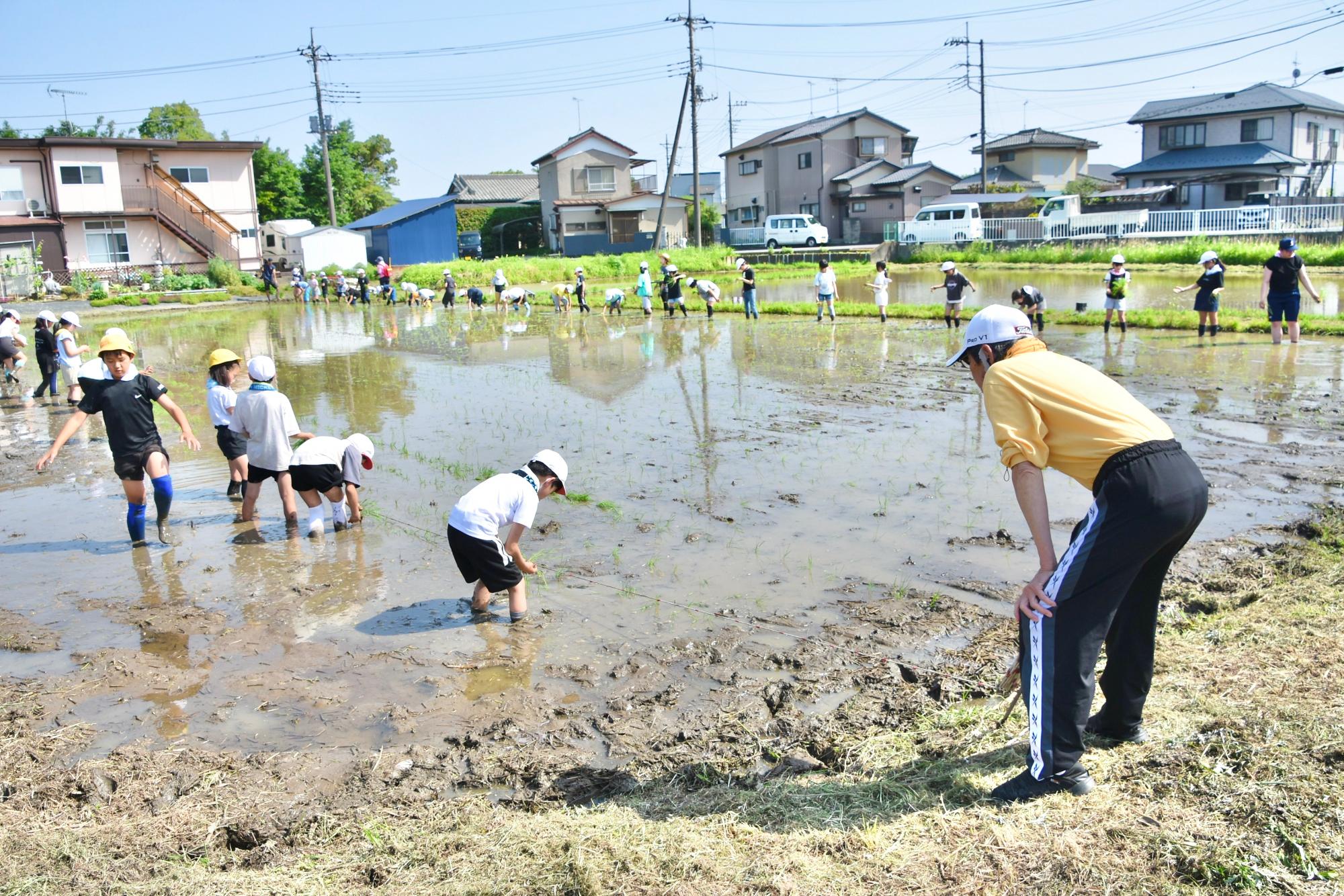 田植え位置の目印が付いたロープを移動させる構成員