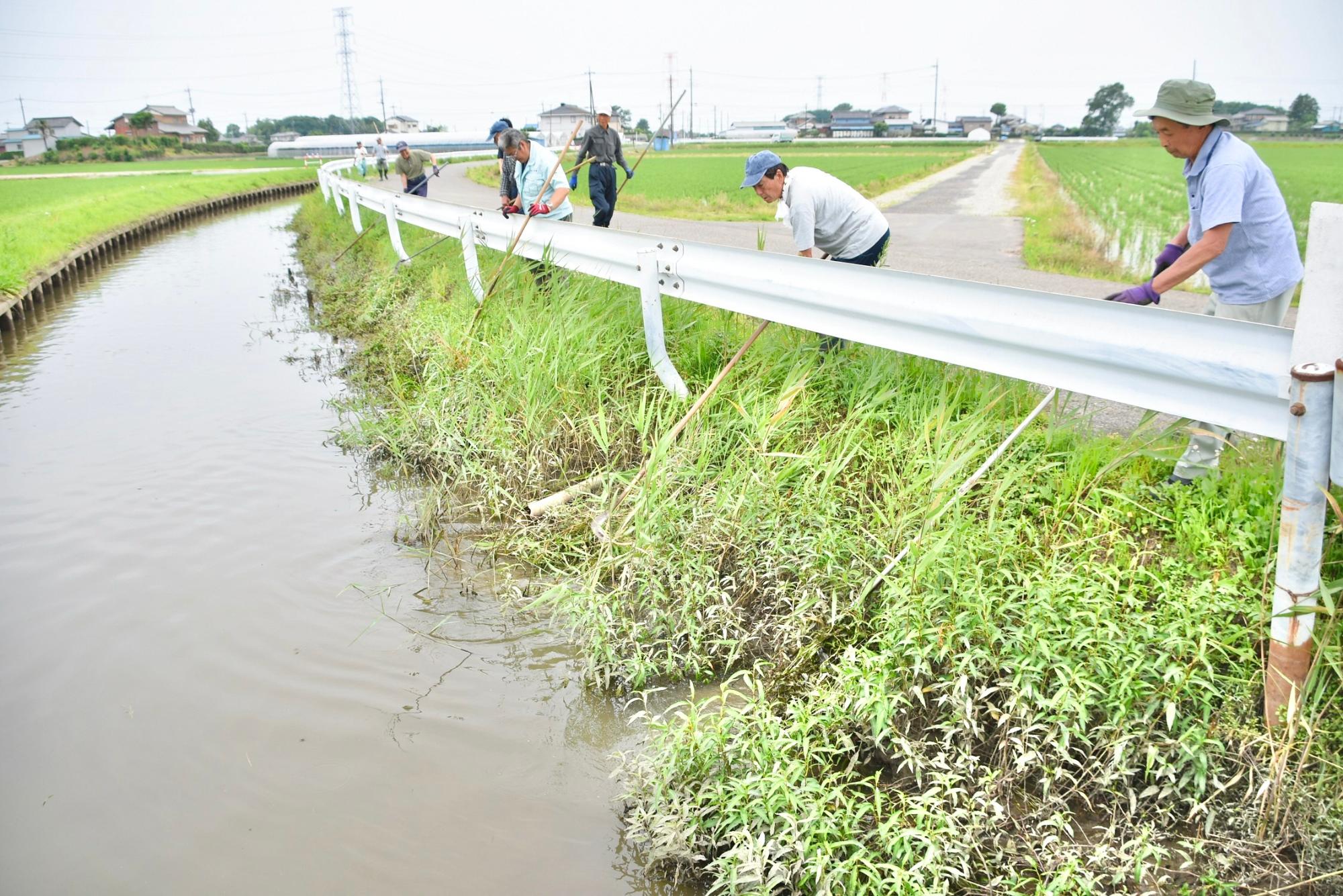 水路に長尺鎌をのばし除草する様子