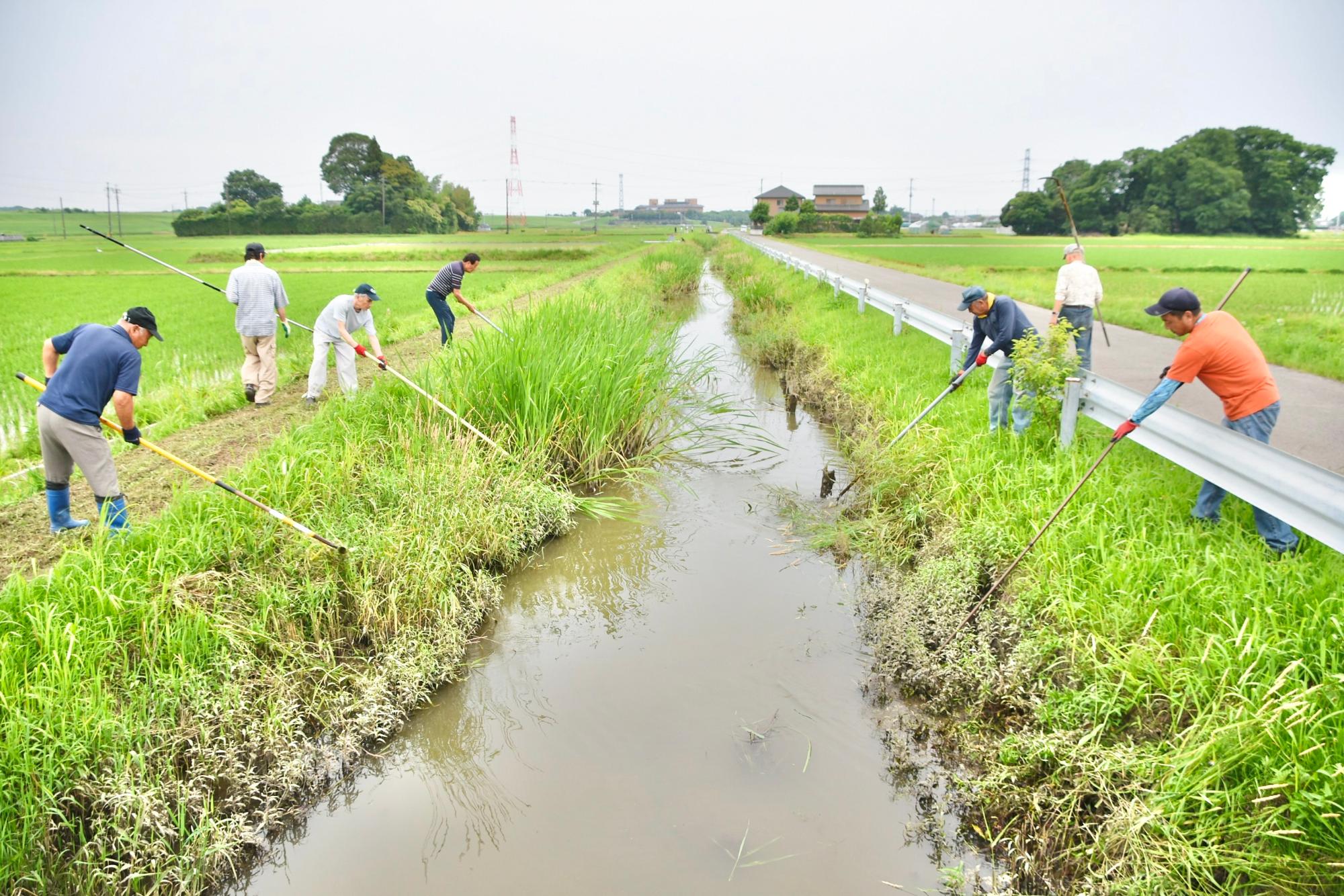 水路の両側から除草を進める様子