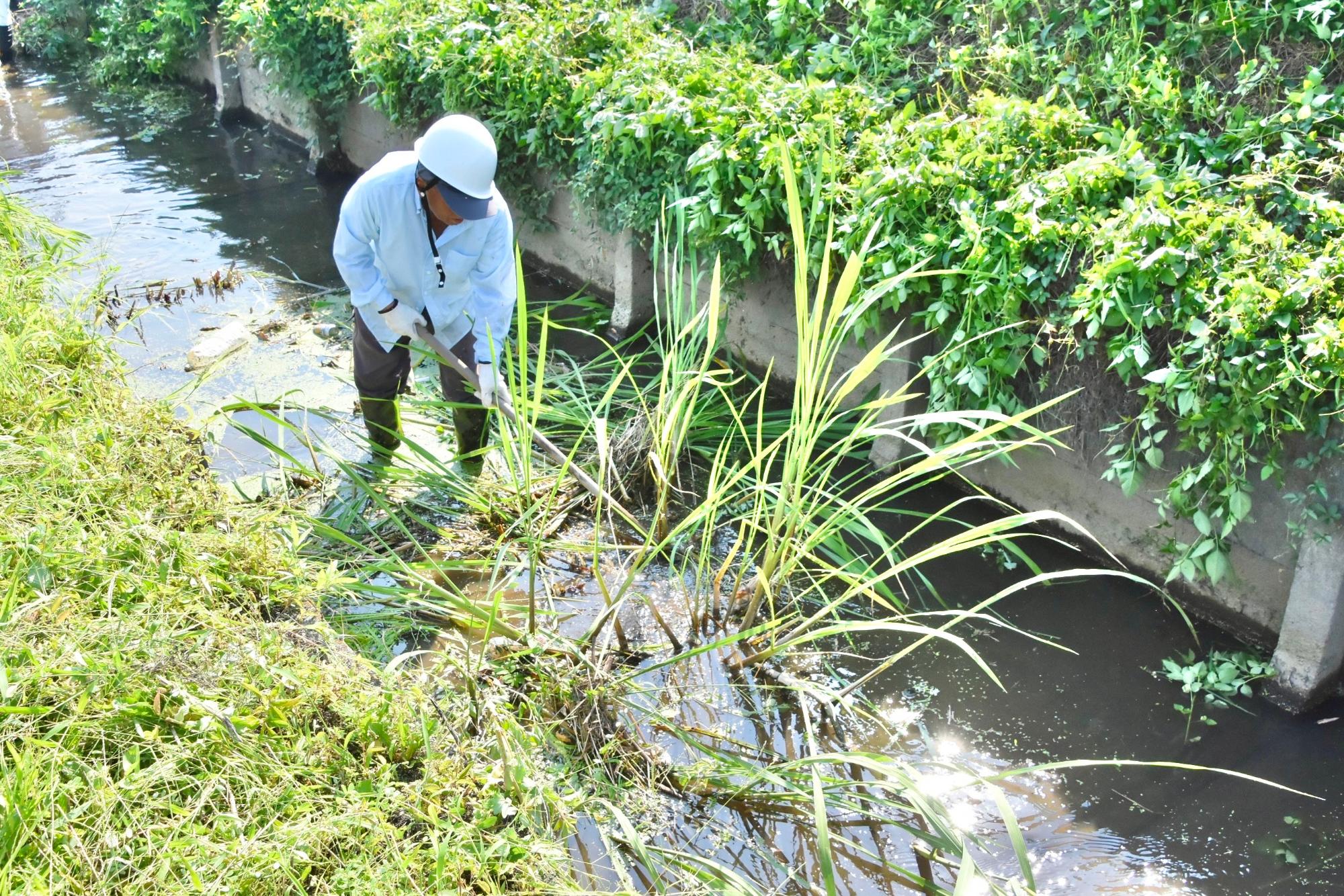 水路内の草を刈る様子