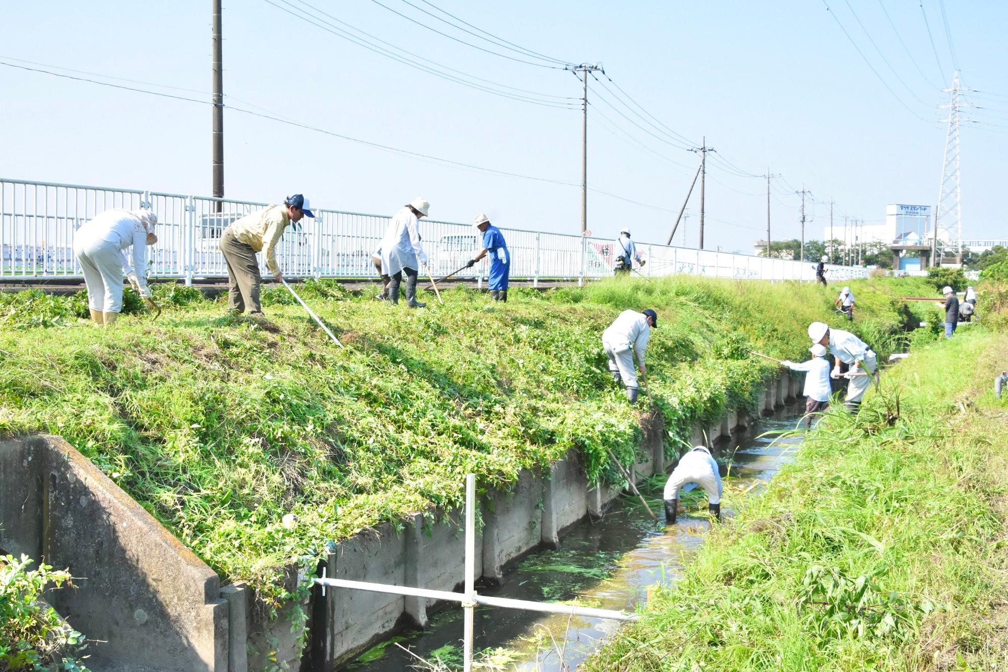 水路内、法面、天端を分担して草刈り