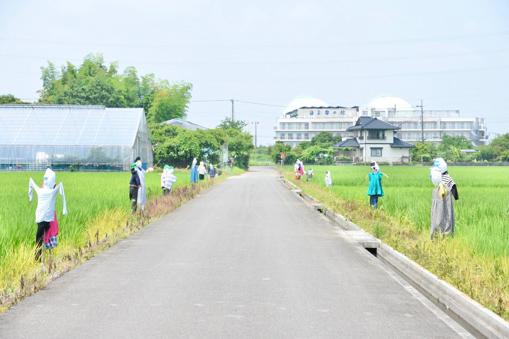 さまざまな表情のかかしが並ぶ通り