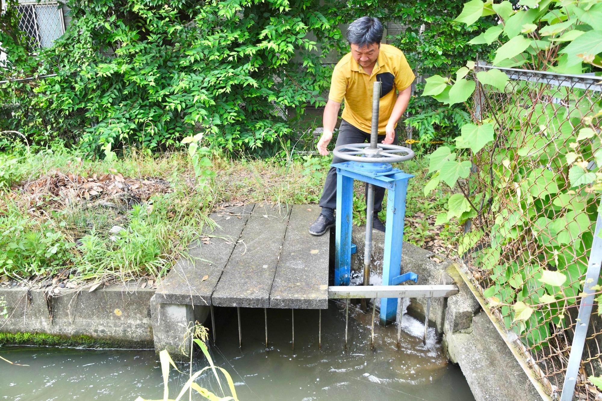 ゲートを操作し、用水を入れる様子