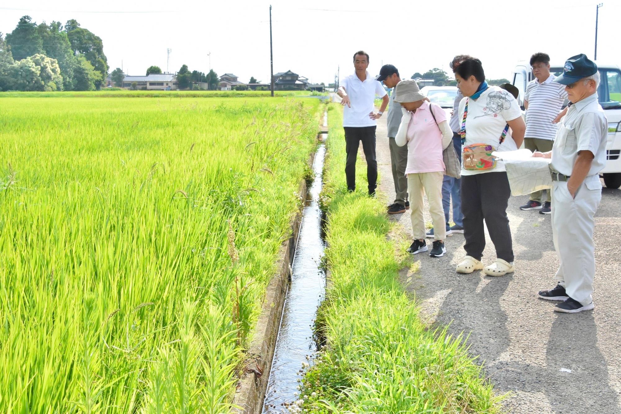 水路の点検をする様子