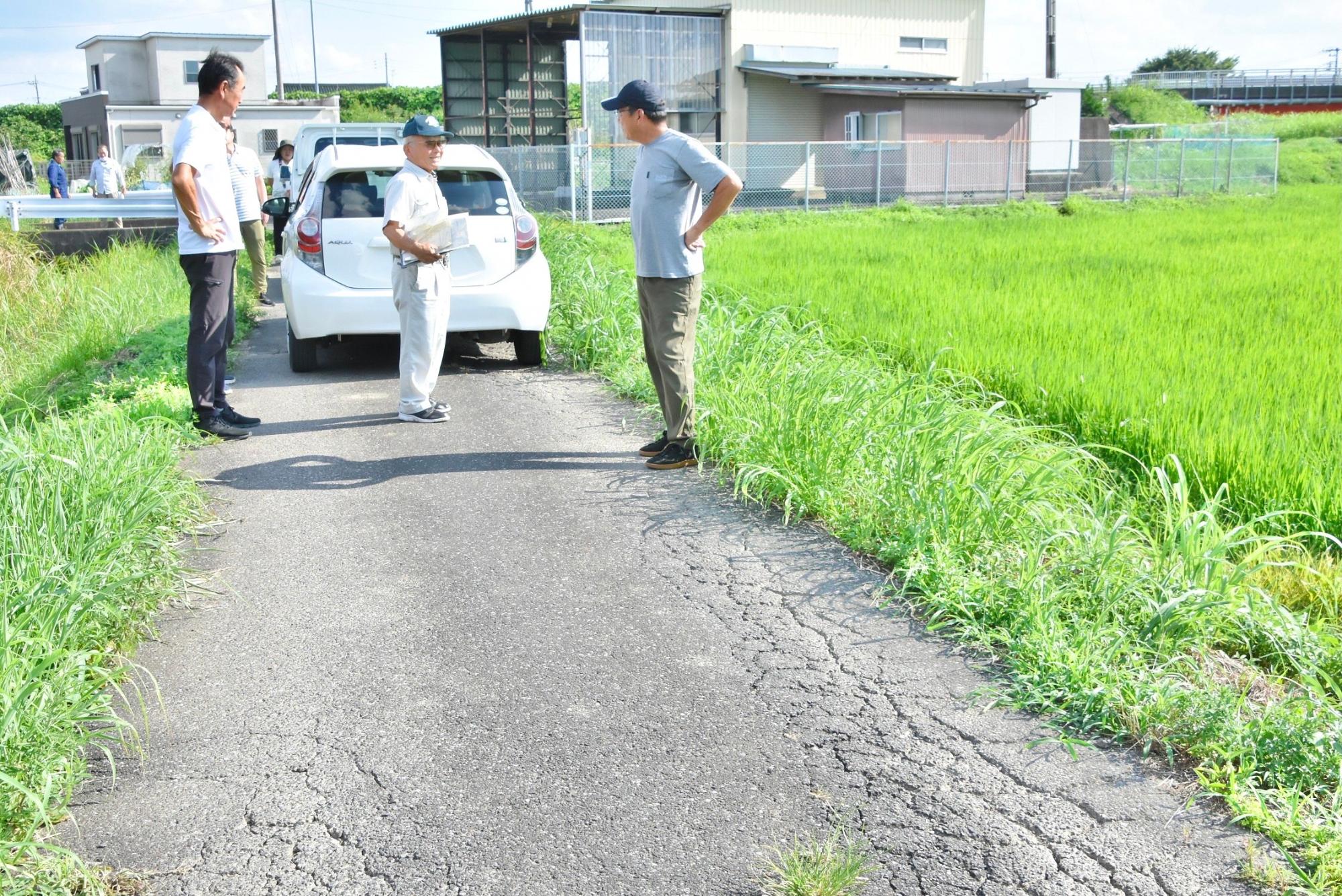 道路のひび割れを点検する様子
