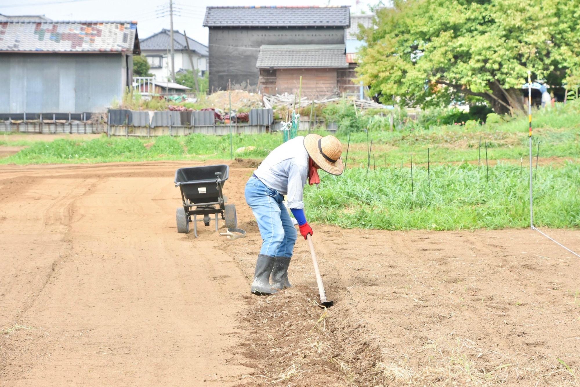 水捌けをよくするためクワで溝を掘る様子