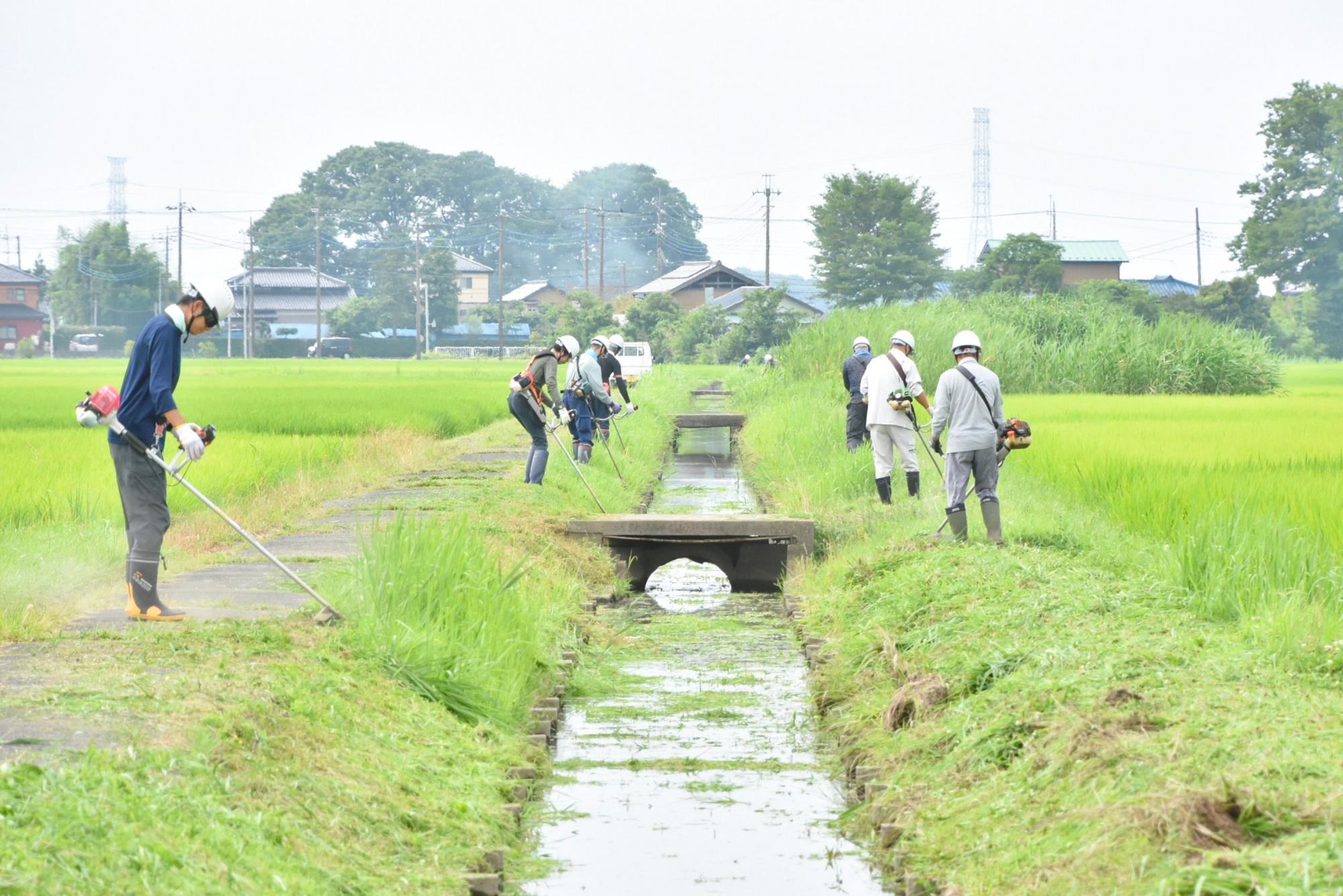 水路法面の草刈りを進めていく構成員