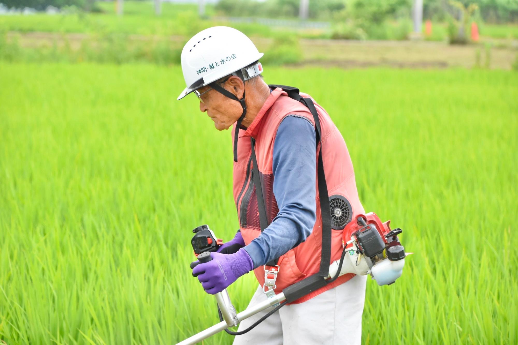 組合名が入ったヘルメットを被って草を刈る構成員