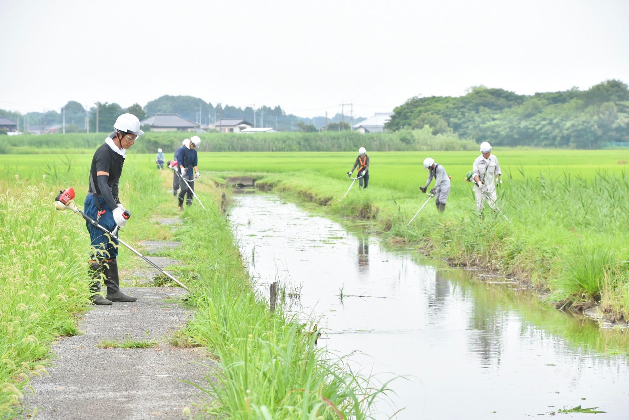 スピーディに刈り進めていく構成員たち