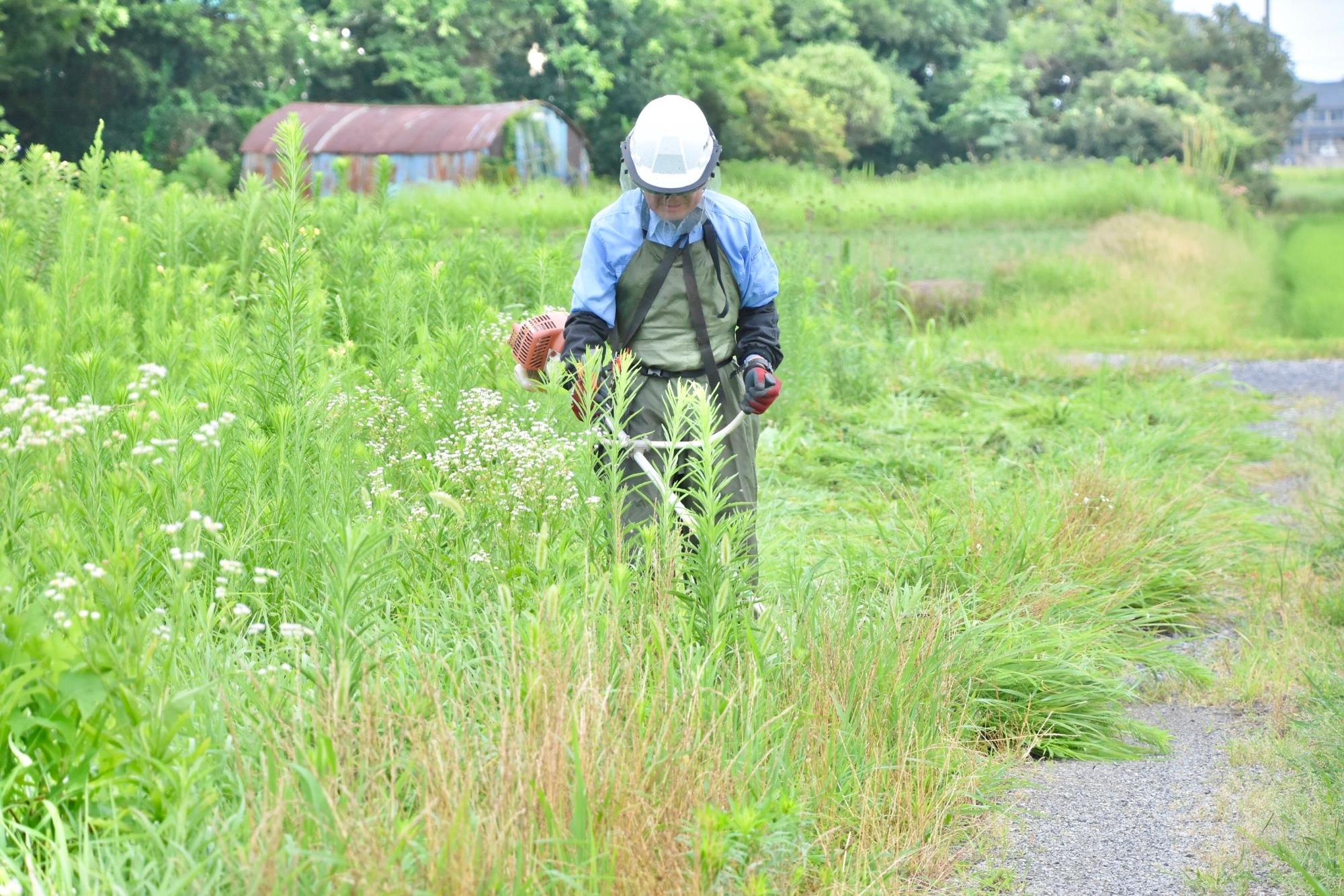 草刈りで道路幅を確保