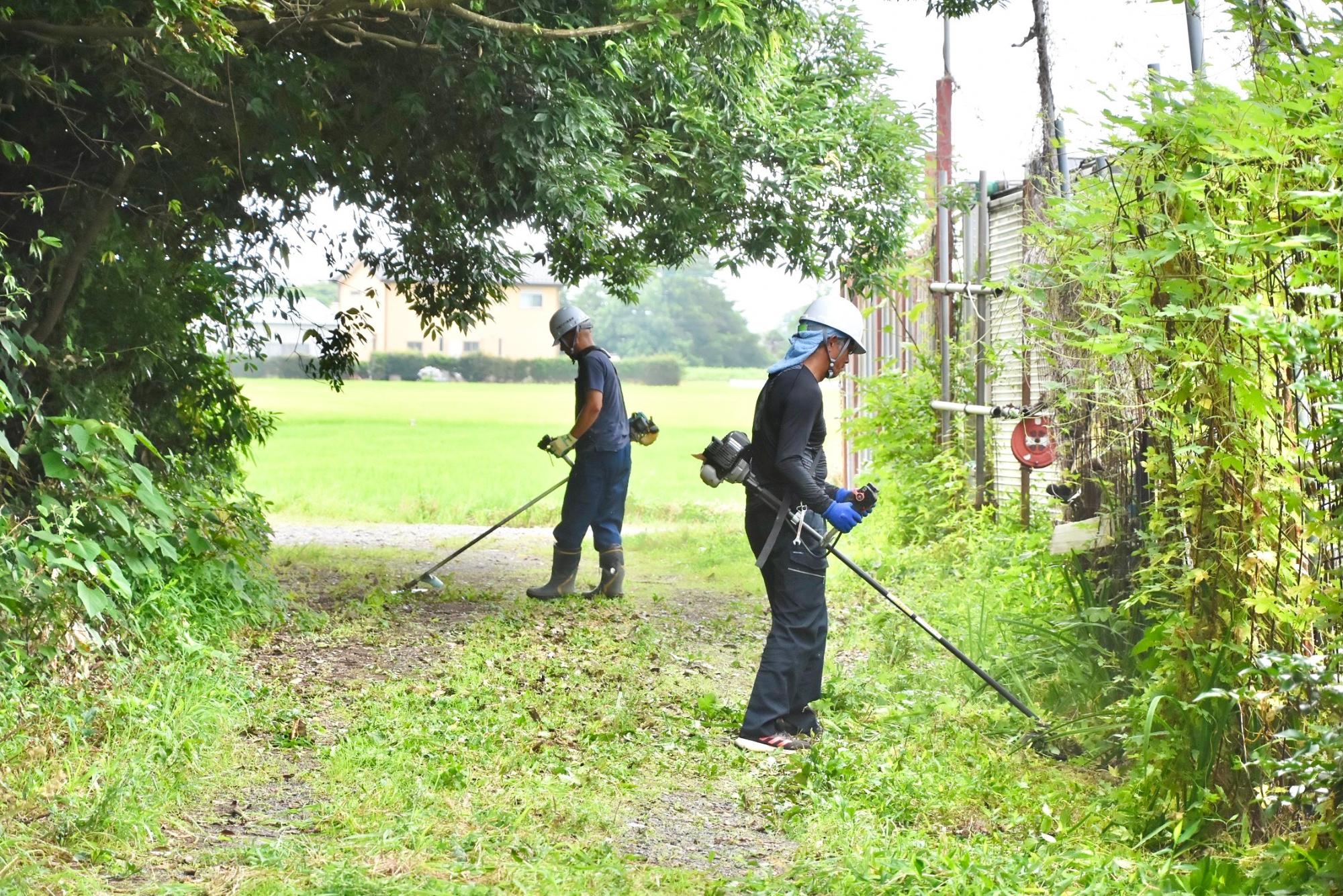 通行の支障になる草を刈る様子