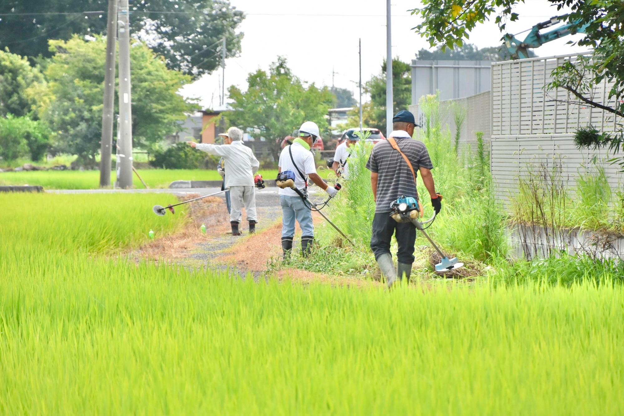 草刈りで通路を広げていく構成員たち