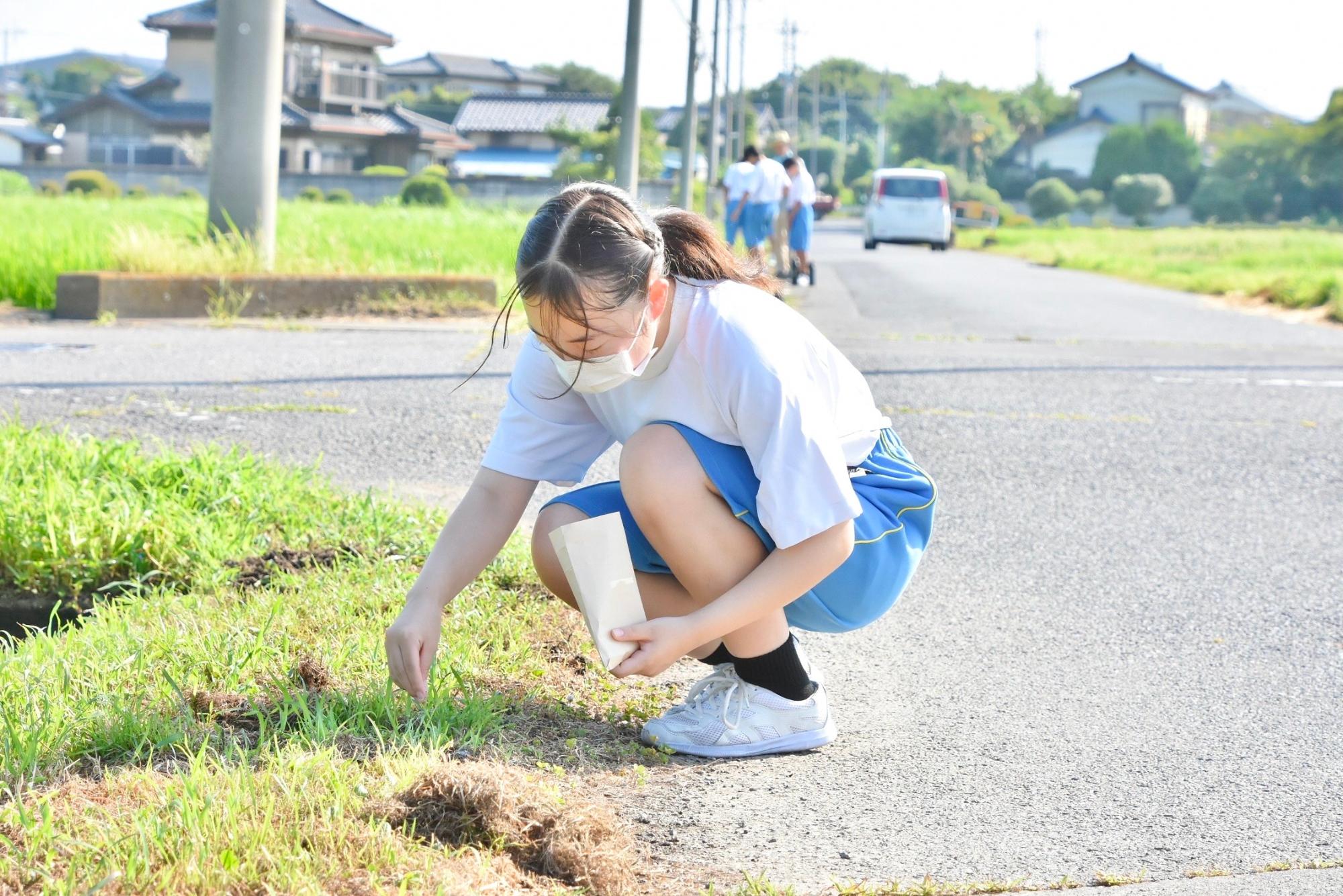丁寧に気持ちを込めて種をまく中学生