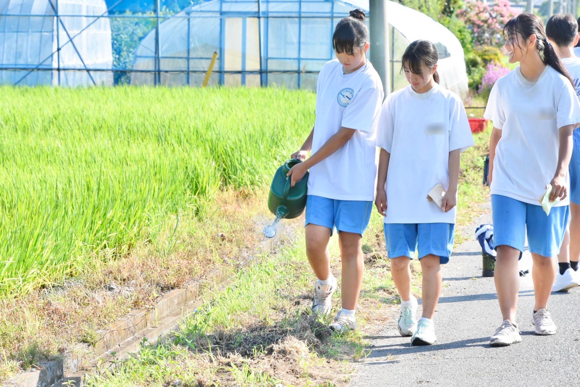 ジョーロで水をまく様子