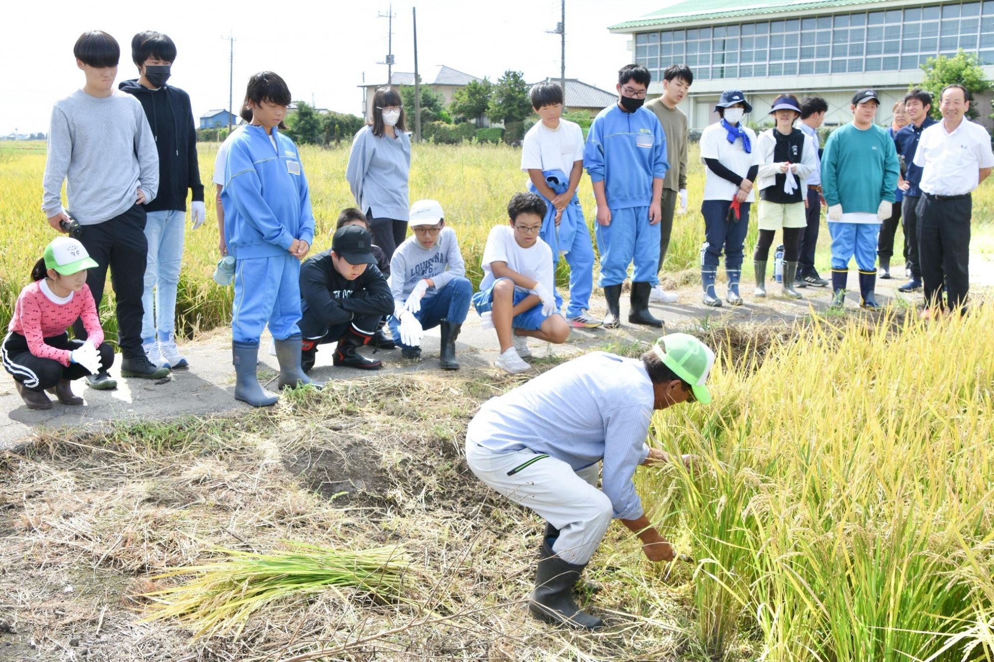 組合長によるお手本