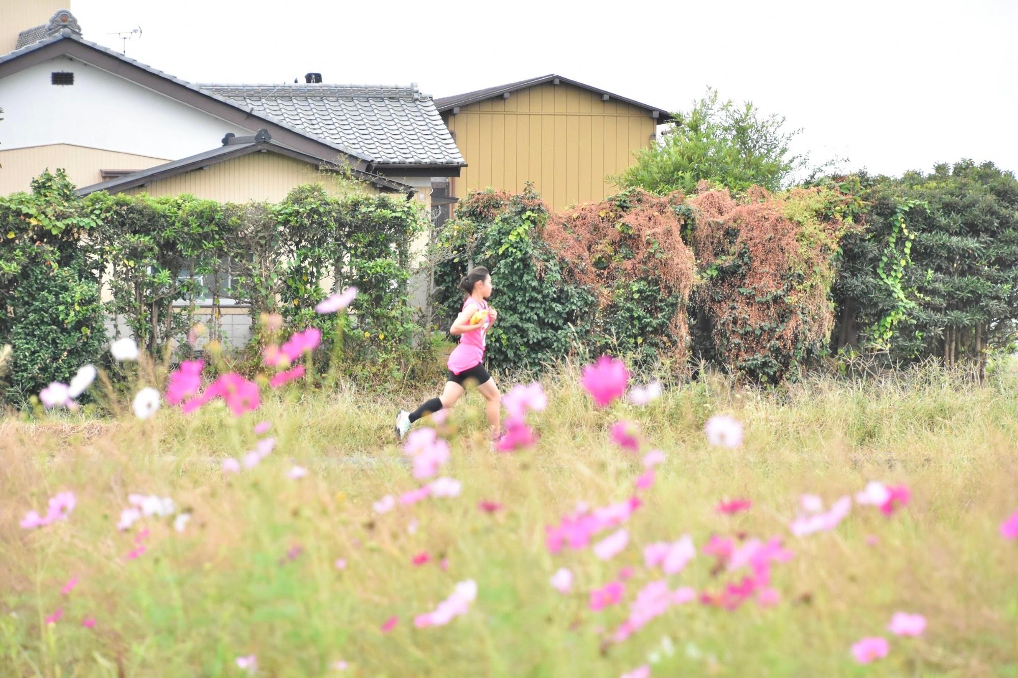 田園風景の中を駆け抜けるランナー