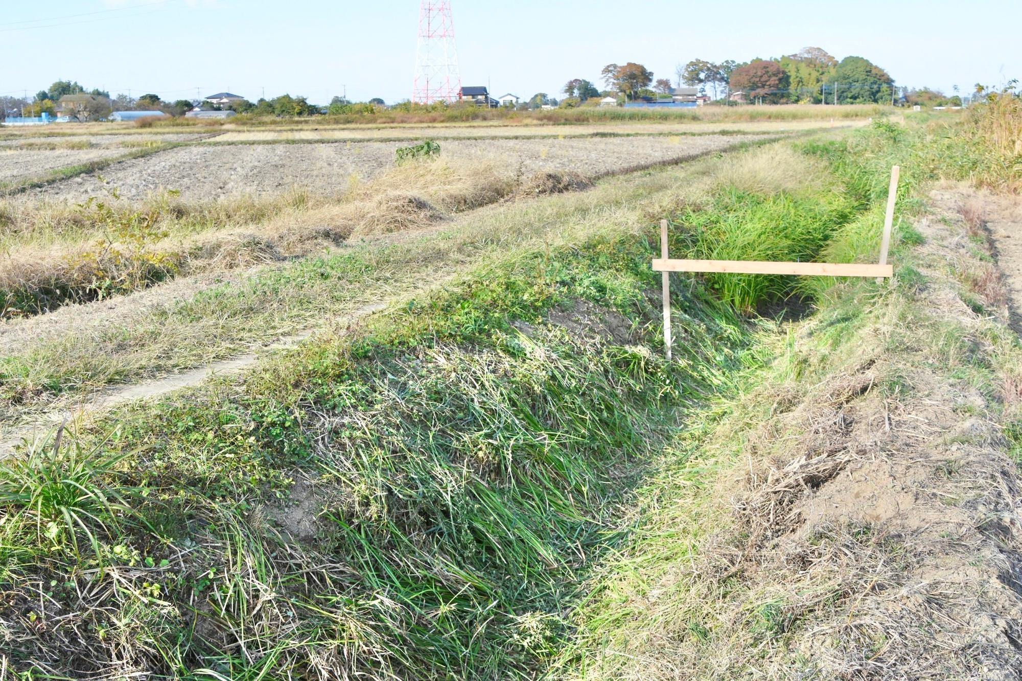 まずは施工箇所の草刈りからスタート