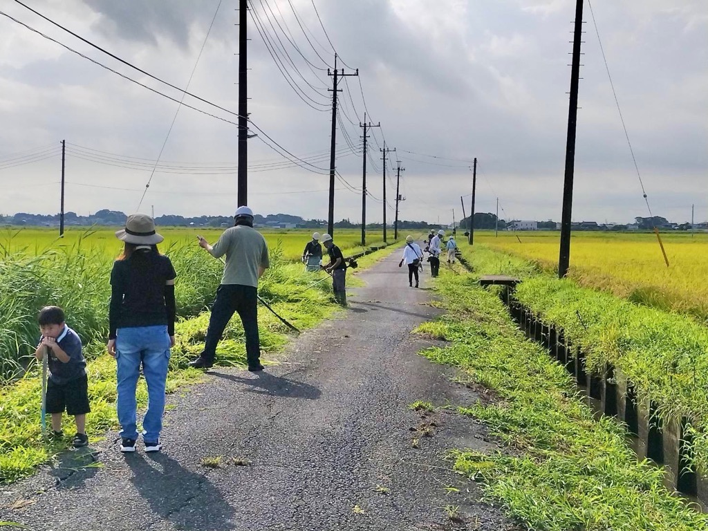 こどもも草刈りに参加