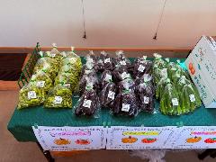 直売協議会のくれよんファームの販売風景