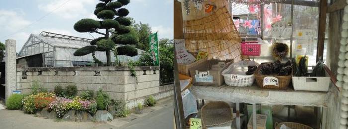 家垣の奥にあるビニールハウスと、野菜の入ったカゴが並んでいる写真が2枚並んでいる写真