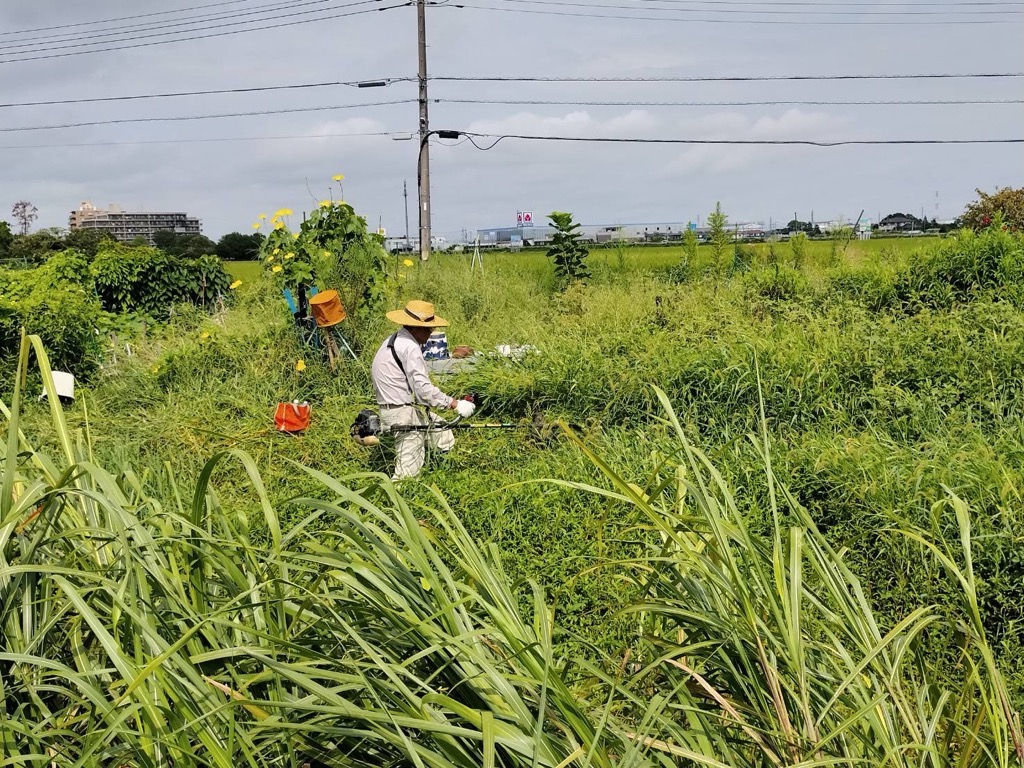 根気強く草刈りをする様子