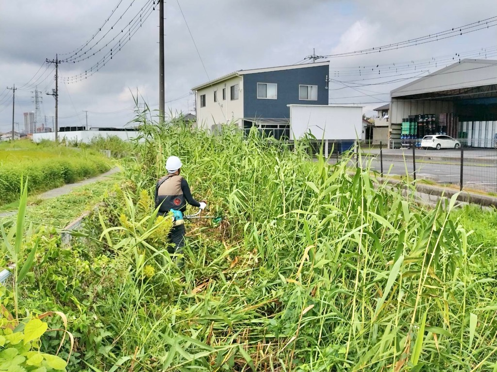 背丈の高い雑草が刈られていく様子
