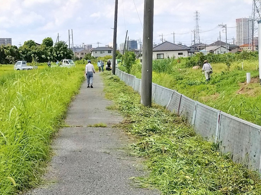 草刈りをして、見通しがよくなった道